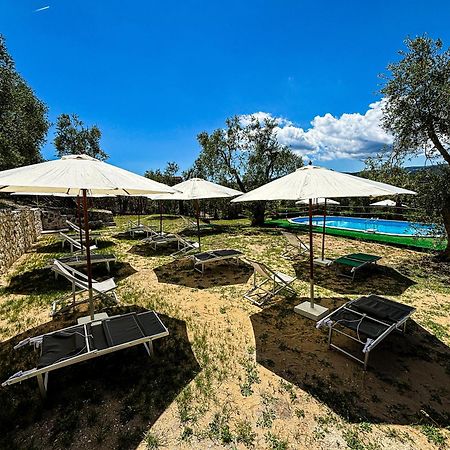 ויאסטה Valle Degli Ulivi B&B מראה חיצוני תמונה