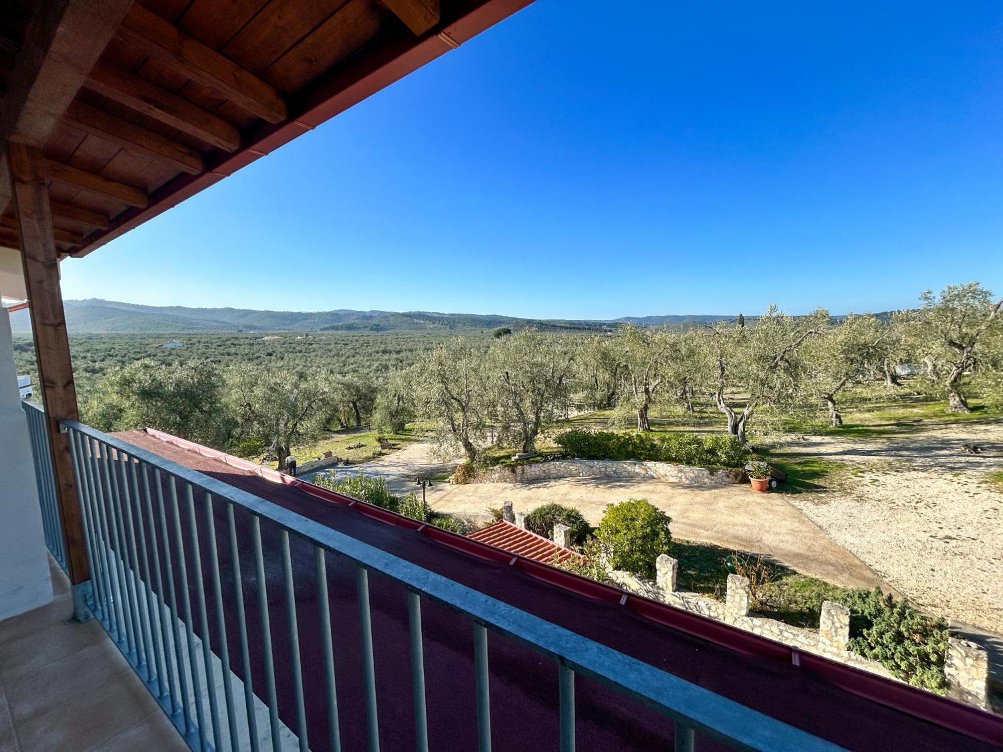 ויאסטה Valle Degli Ulivi B&B מראה חיצוני תמונה